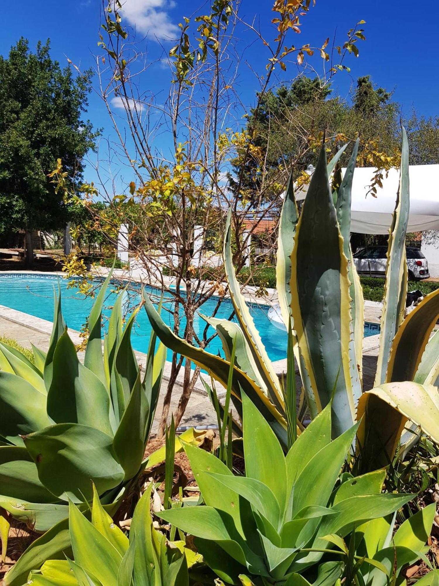 Farm stay Casa Do Castelo Fronteira